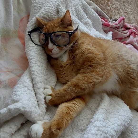 Meet your Posher, Iza - Picture 1 of 1